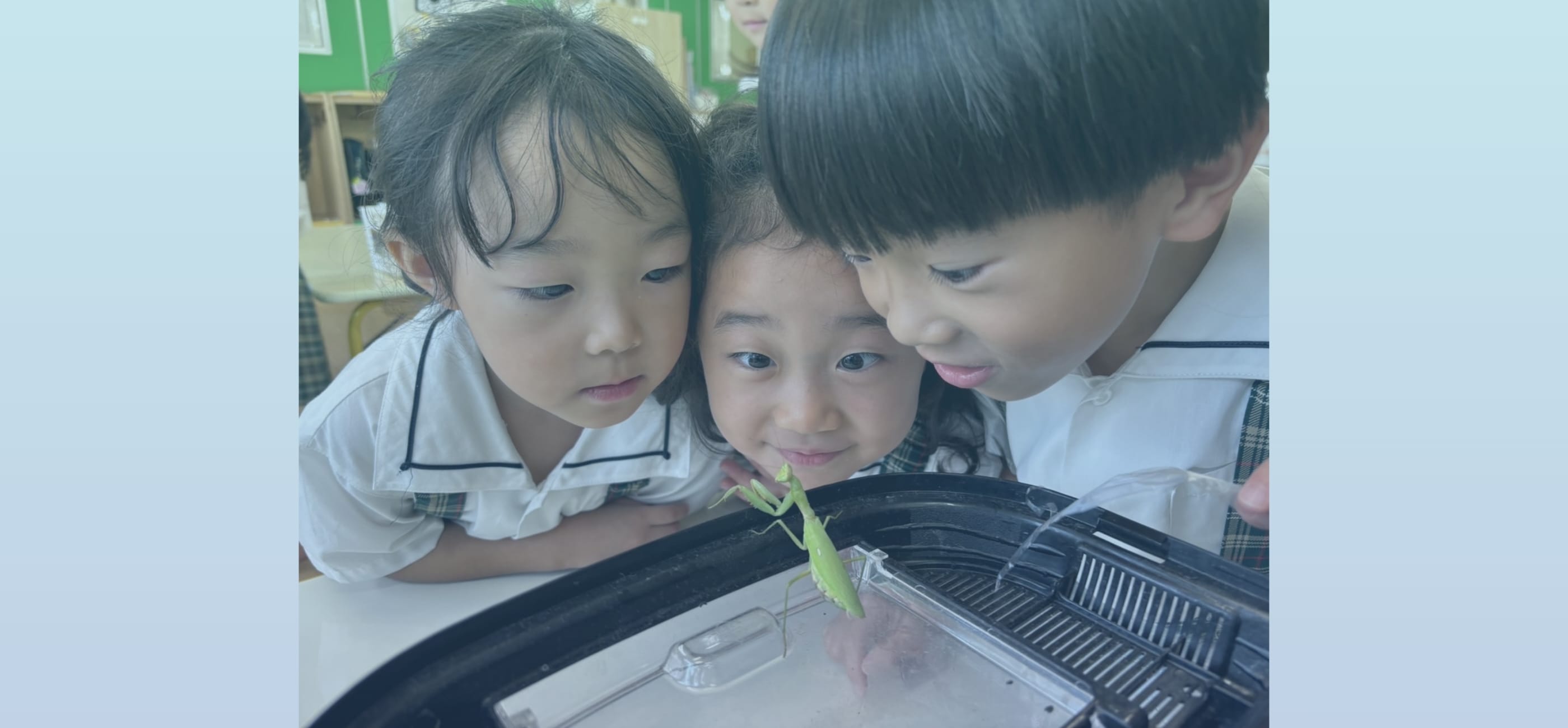 こどもの豊かな成長は保育の現場からはじまる