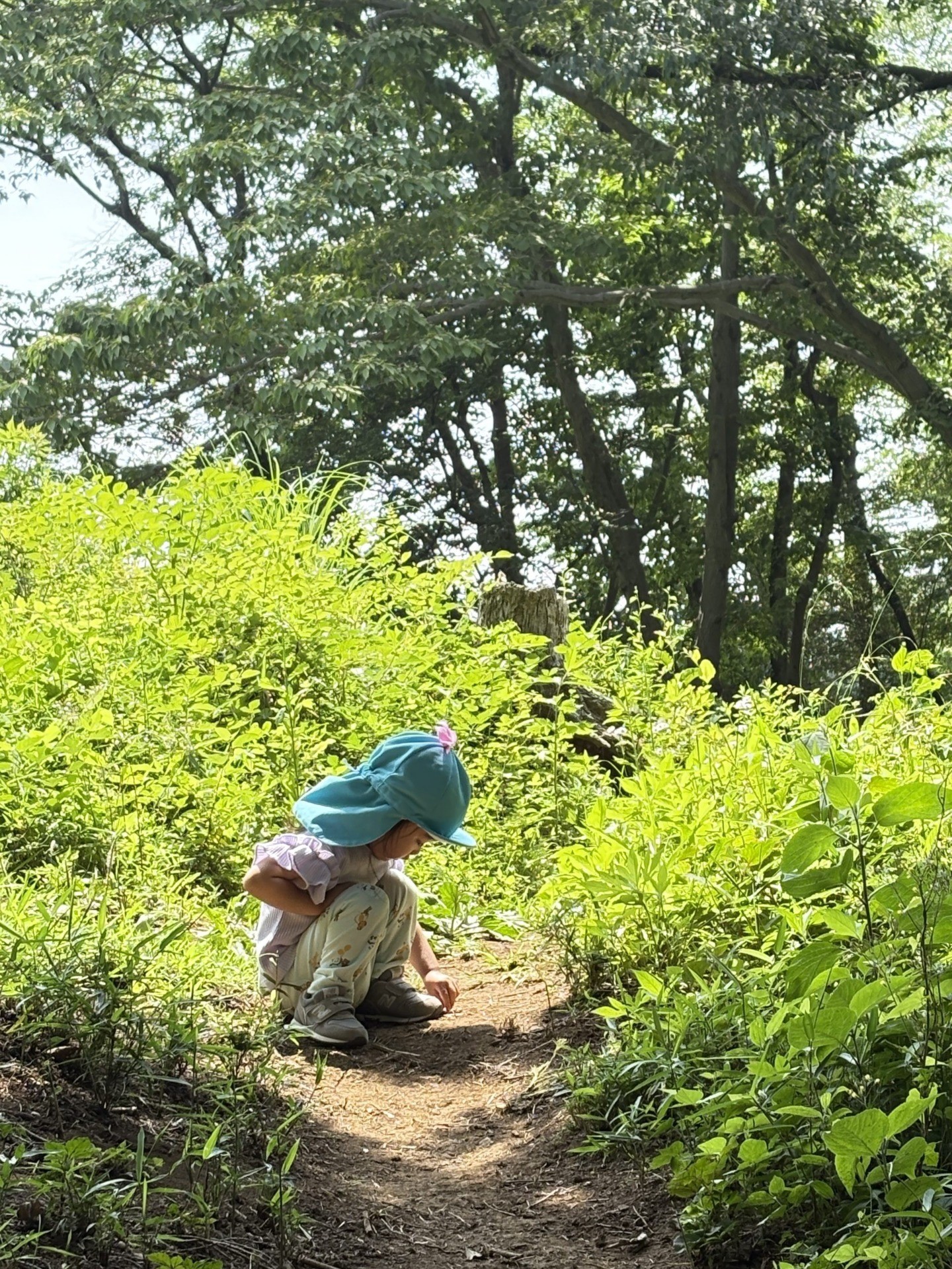 8月より正会員に加盟致しました「株式会社JSP」です！